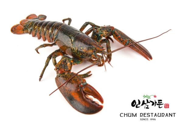 Lợi ích sức khỏe của tôm hùm