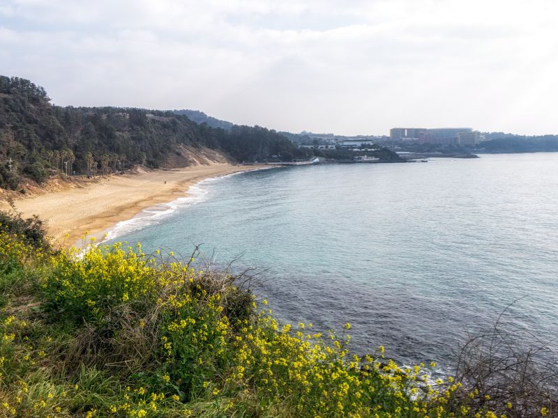 Bãi biển đẹp nhất Hàn Quốc