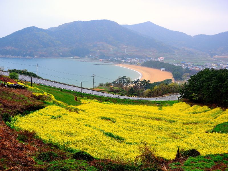 Bãi biển cát bạc Sangju