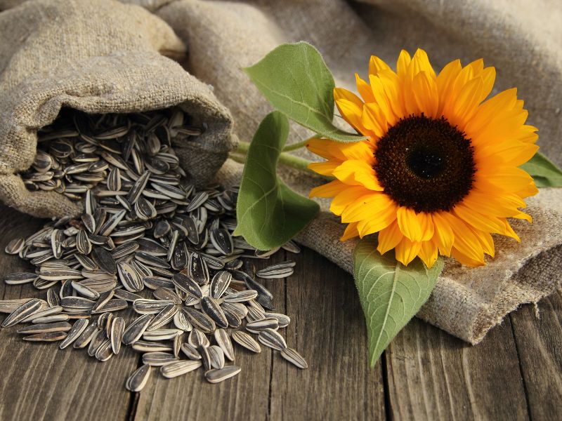 Thực phẩm đẹp da